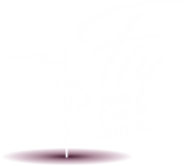 Fly Pole Dance Studio Szczecinek